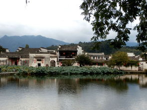 时晴时雨黄山暴走,浅吟低唱宏村小住