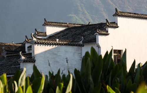 走近宏村 探索古韵与现代便利的完美结合