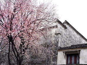 徽派古镇深度游 宏村、西递、卢村木雕楼2日休闲之旅