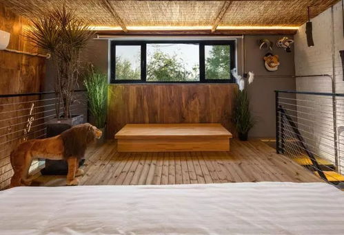 家庭聚会团建优选 宏村精品民宿，尽享打牌、烤串、涮肉之乐